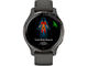 Смарт часовници Garmin Venu 2S Slate/Graphite