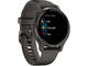 Смарт часовници Garmin Venu 2S Slate/Graphite