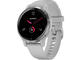 Смарт часовници Garmin Venu 2S Silver/Mist Gray