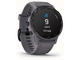 Смарт часовници Garmin Fenix 6S Pro Solar Amethyst Steel / Shale Gray 