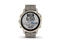 Смарт часовници Garmin Fenix 6S Pro Solar Light Gold / Shale Suede