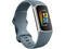 Смарт гривни Fitbit Charge 5 Steel Blue/Platinum Stainless Steel