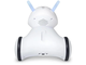 Smart Home Photon Robot for Education