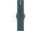Каишки Apple Watch 42mm Sport Band: Lake Green Sport Band - M/L (Seasonal)