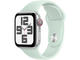 Каишки Apple Watch 40mm Sport Band: Aquamarine Sport Band - M/L (SEASONAL)