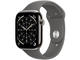 Natural Titanium Case / Stone Grey Sport Band - M/L