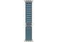 Смарт часовници Apple Watch Ultra 3 Cellular 49mm Natural Titanium Case with Light Blue Alpine Loop - Large