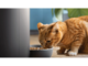 Smart Home Philips Интелигентна хранилка с камера